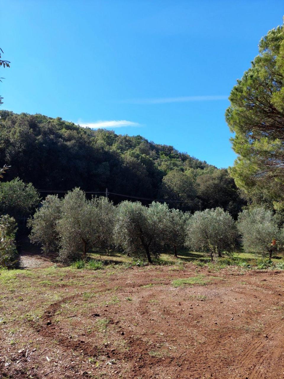 Agriturismo Paradisa Rio dellʼElba エクステリア 写真