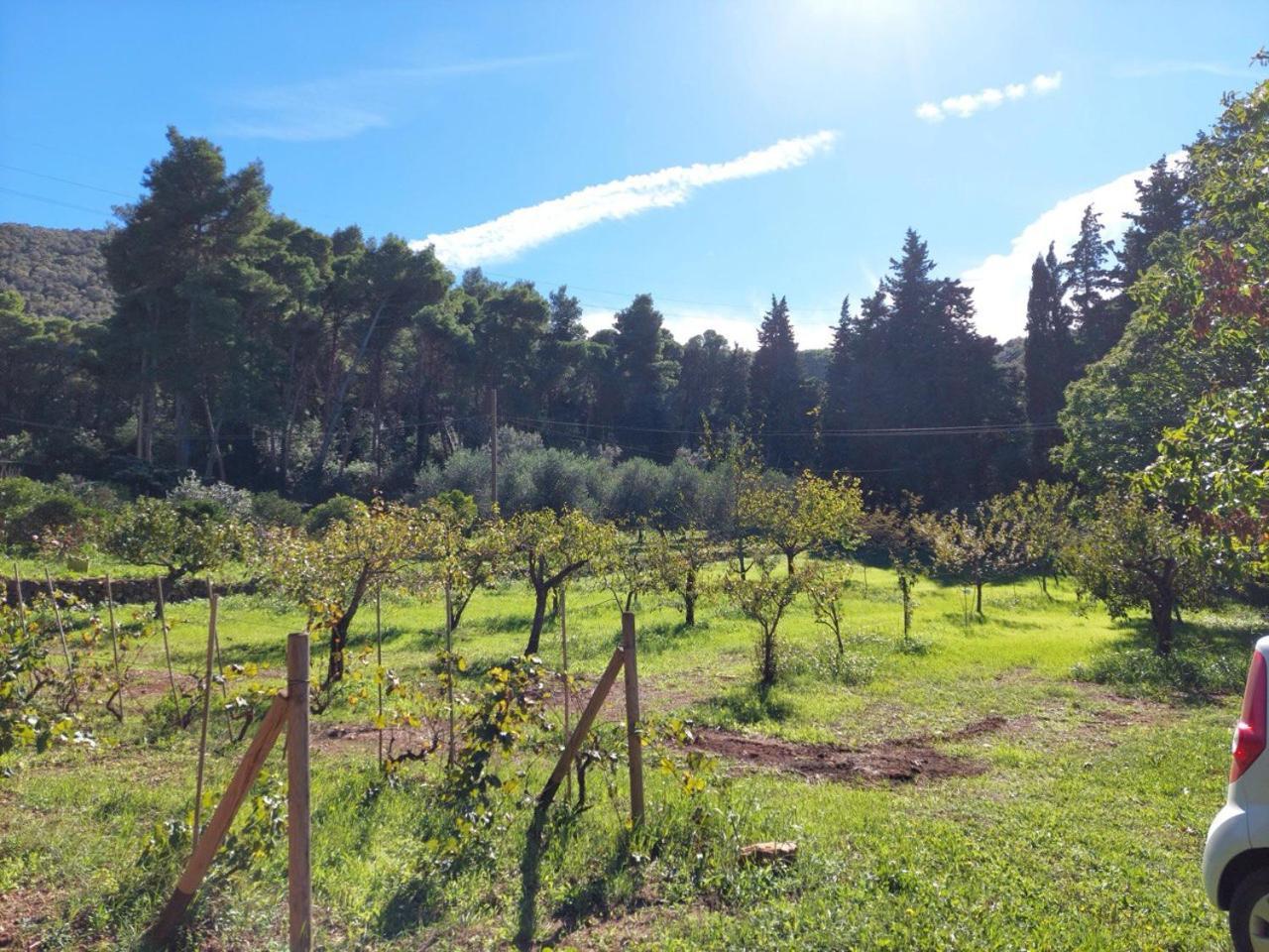 Agriturismo Paradisa Rio dellʼElba エクステリア 写真
