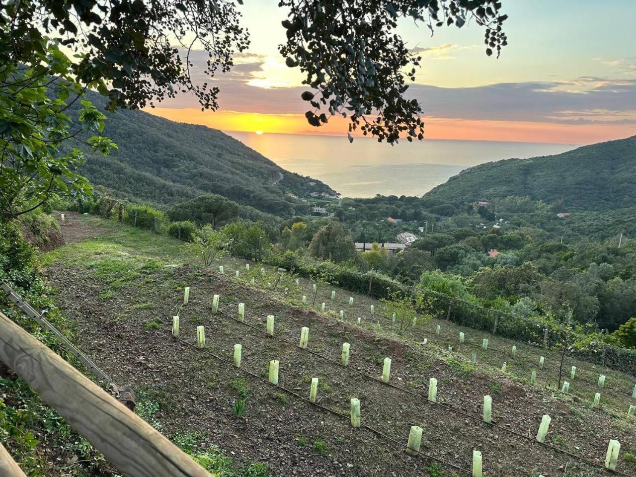 Agriturismo Paradisa Rio dellʼElba エクステリア 写真